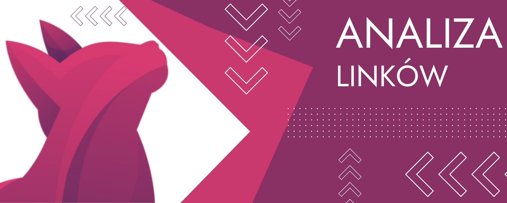 analiza profilu linków banner