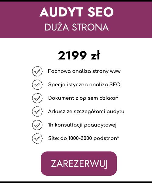 audyt seo - cennik - duża