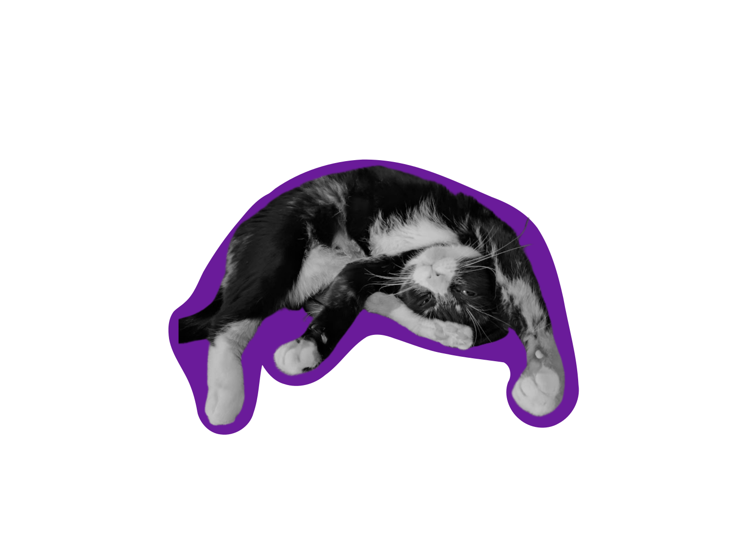 merlin_joga