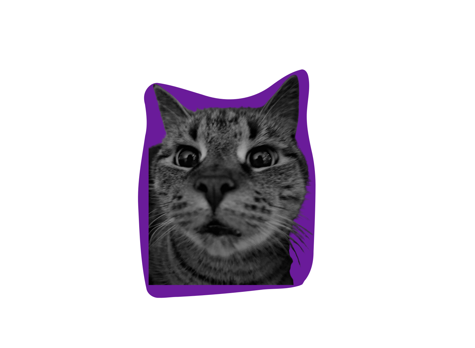 teodor1