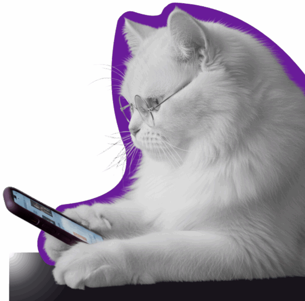 zdjęcie w hero zdjęcie w hero